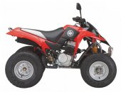 2011 Kreidler Mustang 250 photo